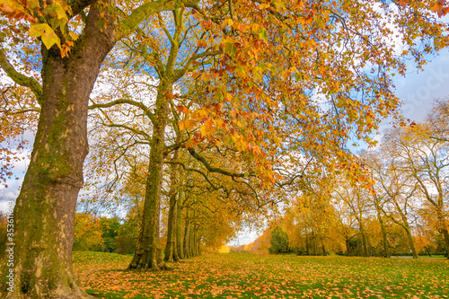 Beautiful Kensington Gardens the Royal Parks for walked and relaxed  London