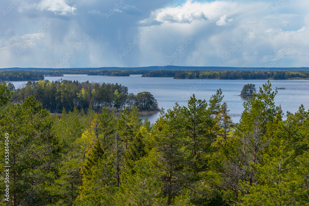 Scandinavian forest in spring. Photo of swedish nature. Farnebofjarden national park. Panoramic view.
