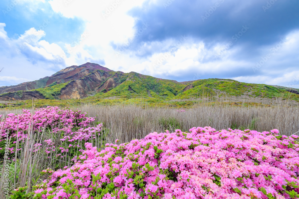 烏帽子岳とミヤマキリシマ　熊本県阿蘇市　Mt.Eboshidake and Rhododendron kiusianum Kumamoto Aso city