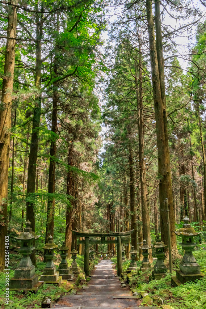 上色見熊野座神社 熊本県高森町 Kamishikimikumanoimasu
Shrine Kumamoto Takamori town 上色見熊野座神社 熊本県高森町 Kamishikimikumanoimasu
Shrine Kumamoto Takamori town