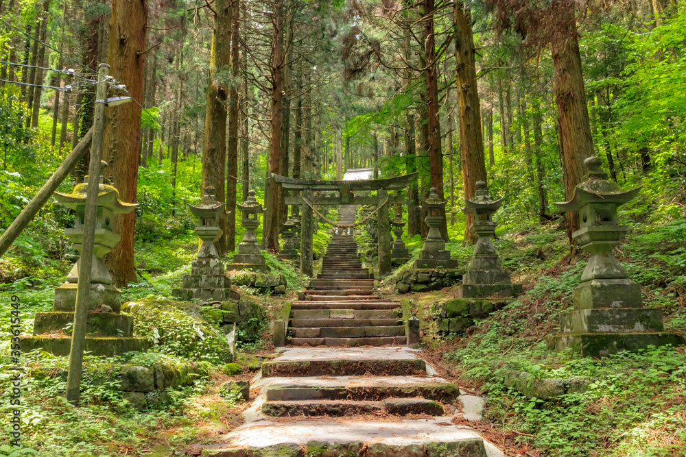上色見熊野座神社 熊本県高森町 Kamishikimikumanoimasu
Shrine Kumamoto Takamori town 上色見熊野座神社 熊本県高森町 Kamishikimikumanoimasu
Shrine Kumamoto Takamori town