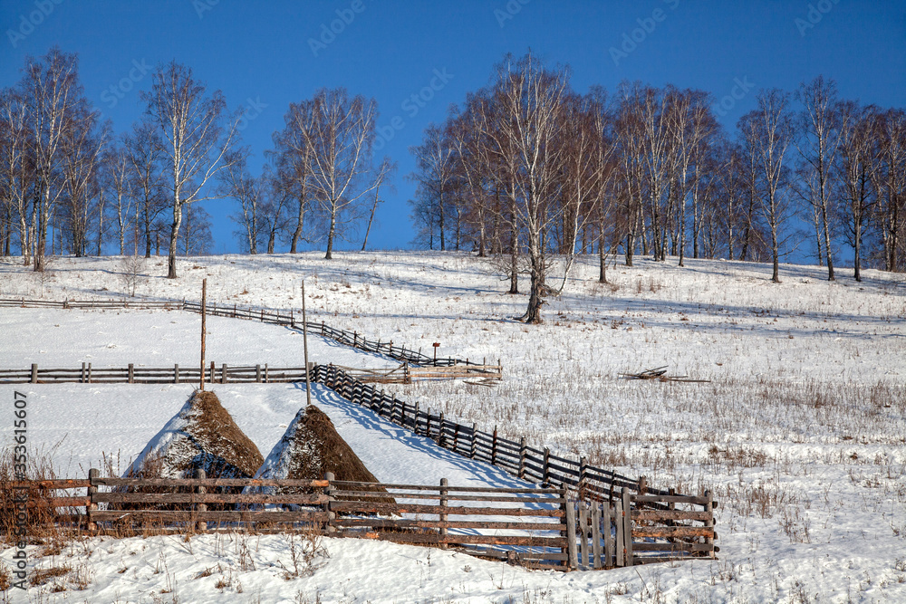Winter landscape with haystacks on the hillside, fences and rare trees. Winter landscape with haystacks on the hillside, fences and rare trees.