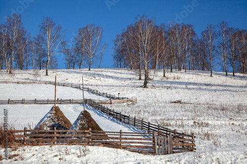 Winter landscape with haystacks on the hillside, fences and rare trees.