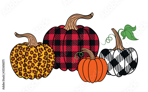 . Set of diverse pumpkins. Leopard, orange and buffalo plaid pumpkin..Happy Thanksgiving . Harvest season. Vector illustration. Clip Art.