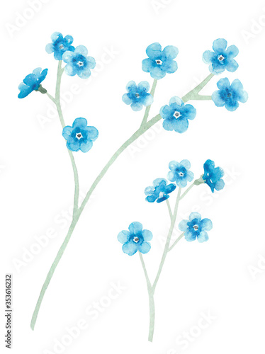 Fototapeta Naklejka Na Ścianę i Meble -  Watercolor blue flowers set