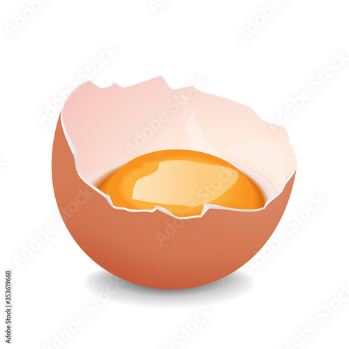 Broken egg with yolk