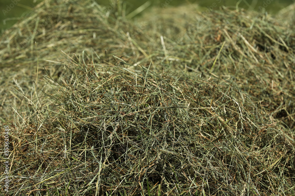 Heu Ernte auf dem Feld Heu Ernte auf dem Feld