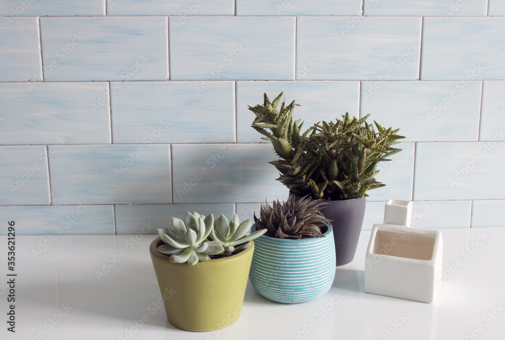 Cactus pots in dirrent colors on a white table and ceramic blue wall in background. Cactus pots in dirrent colors on a white table and ceramic blue wall in background.
