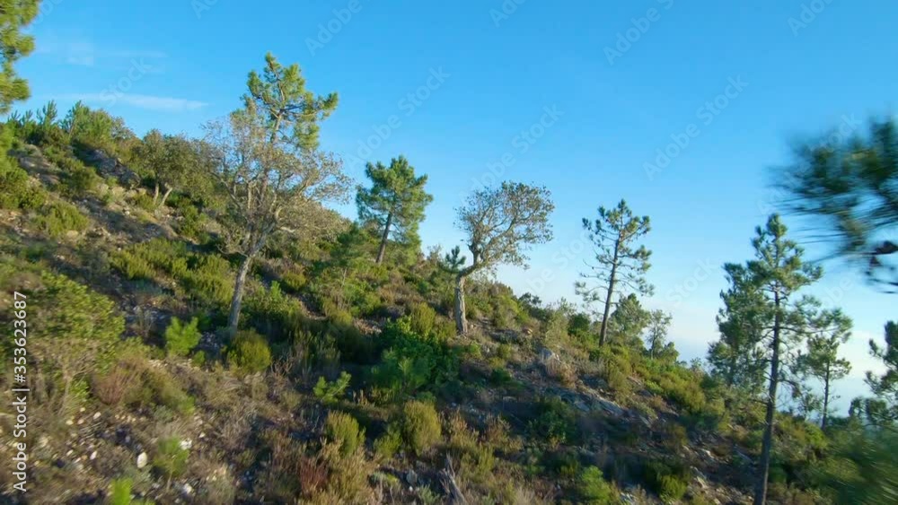 The beautiful rocky green Maquis landscape, reaching the Mediterranean sea - aerial The beautiful rocky green Maquis landscape, reaching the Mediterranean sea - aerial