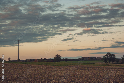 Ländliche Gegend bei Sonnenuntergang - Ländliche Gegend mit Stoppelacker und Leitungsmast mit Stromleitung mit Vögeln bei Sonnenuntergang. photo