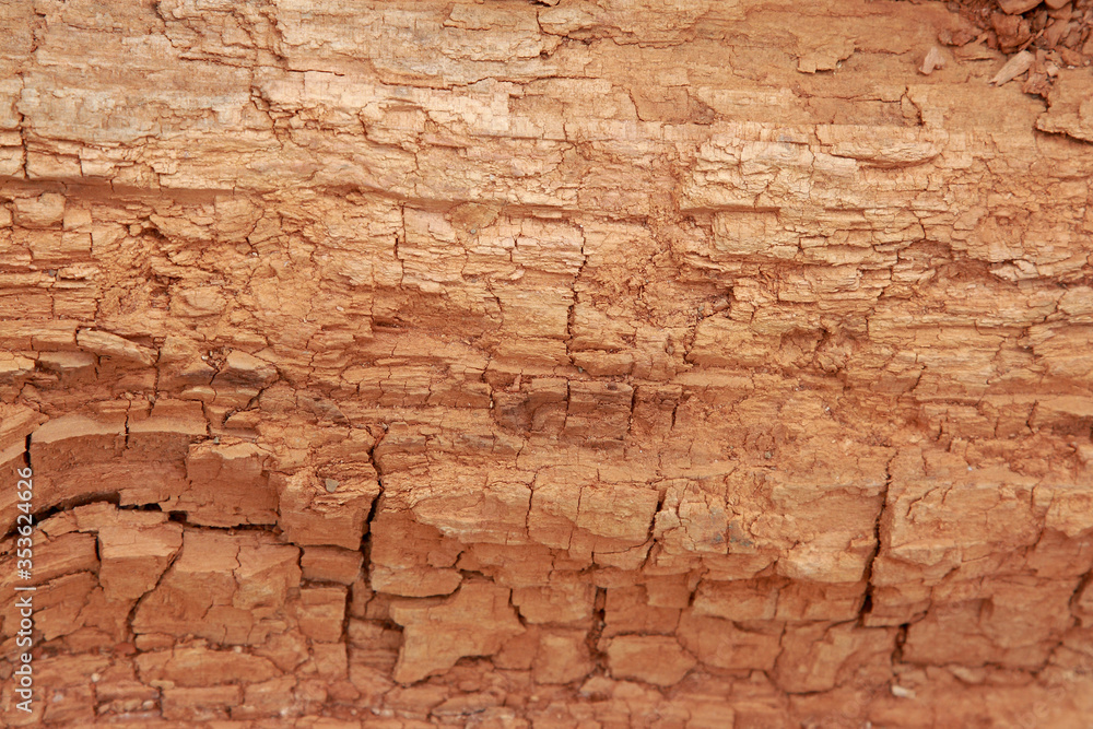 Brown background from the bark of an old tree Brown background from the bark of an old tree