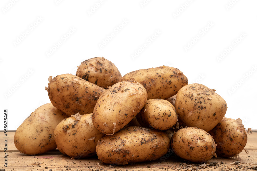 Fresh potatoes dug from ground. Autumn harvest of potatoes. Fresh potatoes dug from ground. Autumn harvest of potatoes.
