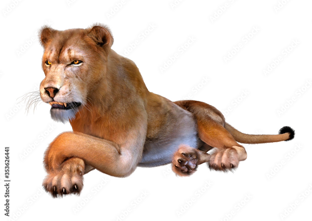 Obraz premium 3D Rendering Female Lion on White