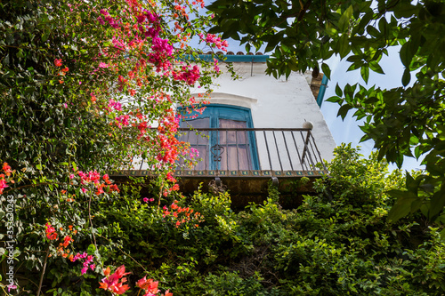 balcony surrounded by flowers and plants, white facade, blue wooden door and pink flowers