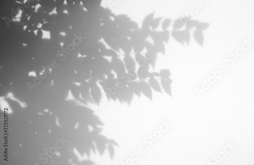 Leaves natural shadow overlay on white texture background, for overlay on product presentation, backdrop and mockup, summer seasonal concept