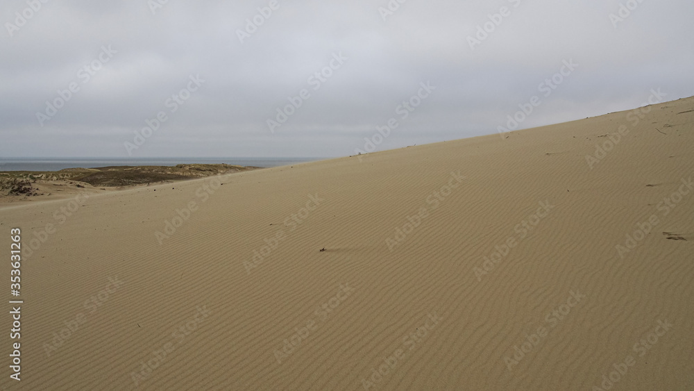 Curonian Spit sand dunes in Nida, Lithuania on the Baltic sea background Curonian Spit sand dunes in Nida, Lithuania on the Baltic sea background