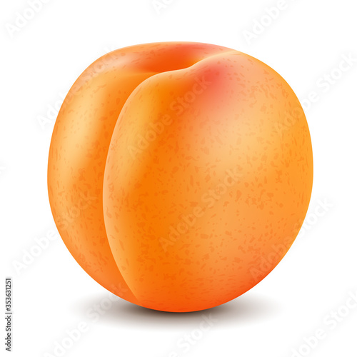 Apricot isolated white background