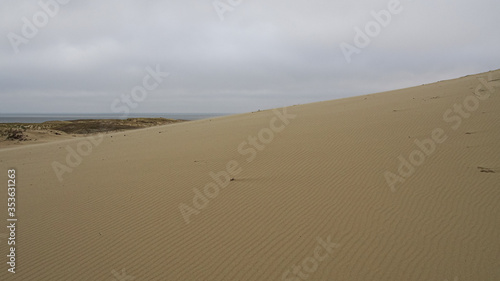 Curonian Spit sand dunes in Nida, Lithuania on the Baltic sea background