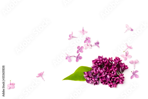 Fototapeta Naklejka Na Ścianę i Meble -  Beautiful blossoming lilac on white background. Space for text