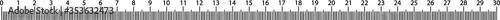 30 centimeters metric vector ruler with  black and white color. School equipment