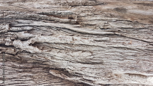 wood texture perspective nature brown
