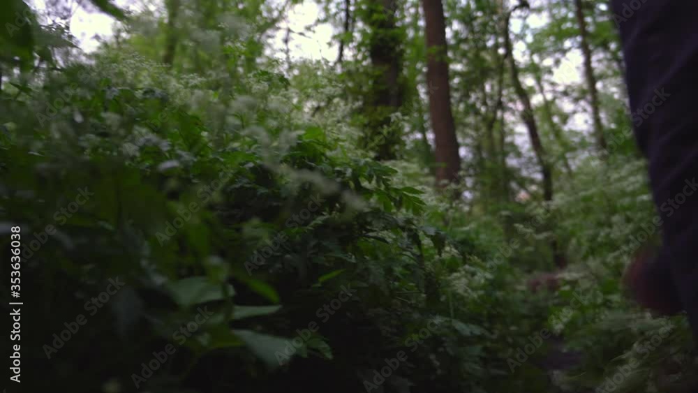 A young Caucasian man makes his way through the forest with a backpack. Soft focus nature concept.