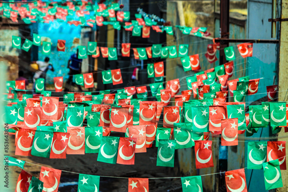 Eid e Milad-un-Nabi celebrations in india