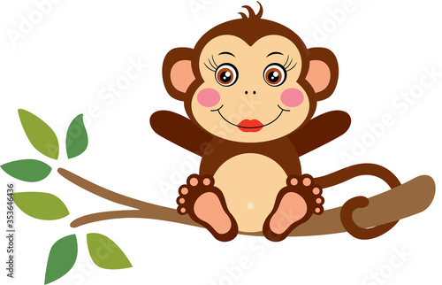Cute girl monkey sitting on tree branch 