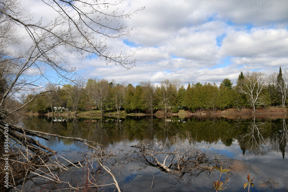 Fototapeta premium River Scenic near Peterborough Ontario