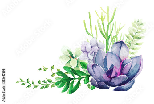 Bright watercolor succulent plants bouquet, arrangement, hand drawn