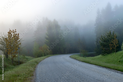 landscape with an empty road turn, along the edges of tree silhouettes in the fog