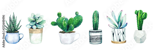 Fotografering Set of six potted cactus plants and succulents