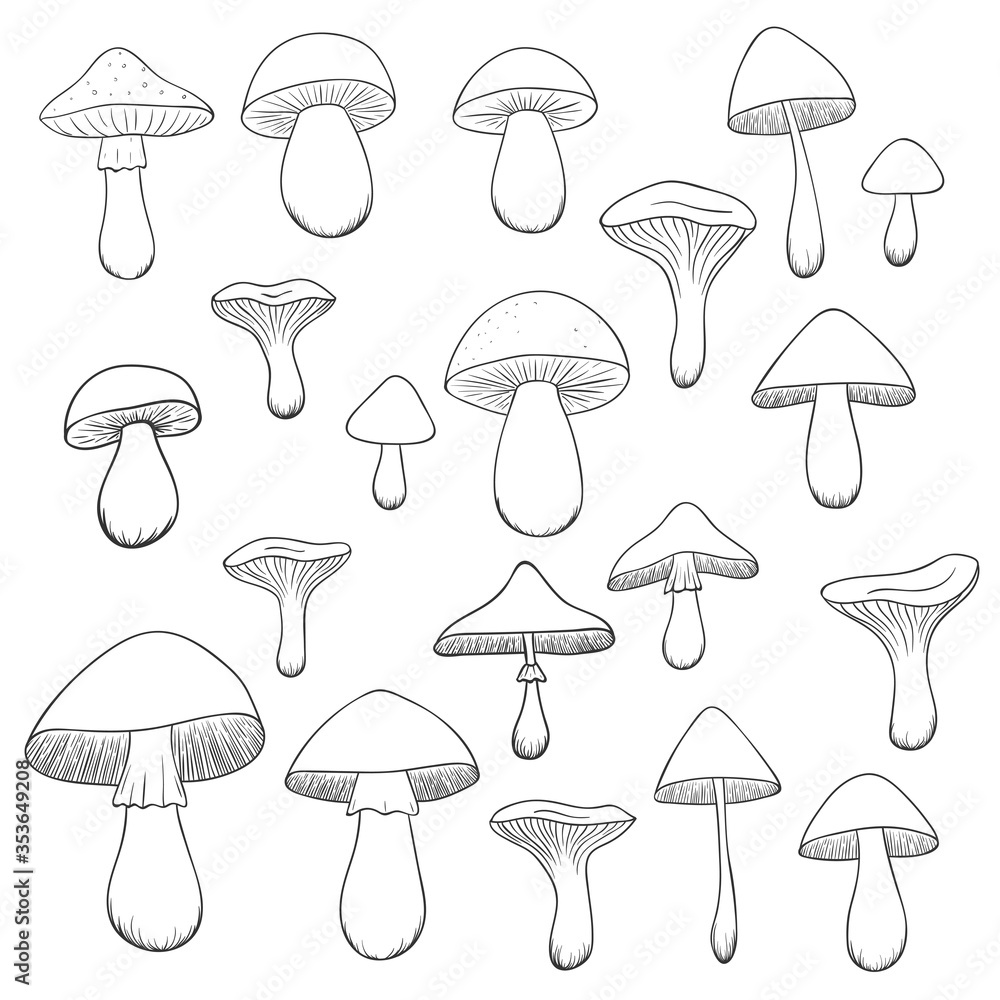 A collection of a hand-drawn mushrooms isolated on white background. Vector illustration A collection of a hand-drawn mushrooms isolated on white background. Vector illustration