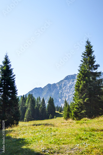 Panoramic view of the Julian Alps in summer, seen from passo Pramollo on the border between Italy and Austria. Mountain Landscape.