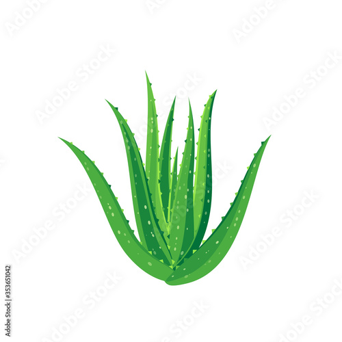 Aloe vera plant. Template packaging label skin care products design. Vector illustration cartoon flat icon isolated on white background.
