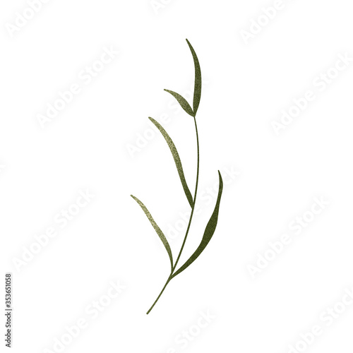Cute sprig of grass. Textural digital art flat position, top view. Print for wrapping paper, packaging, fabrics, decoration, web, invitation, wedding, banners, stickers.