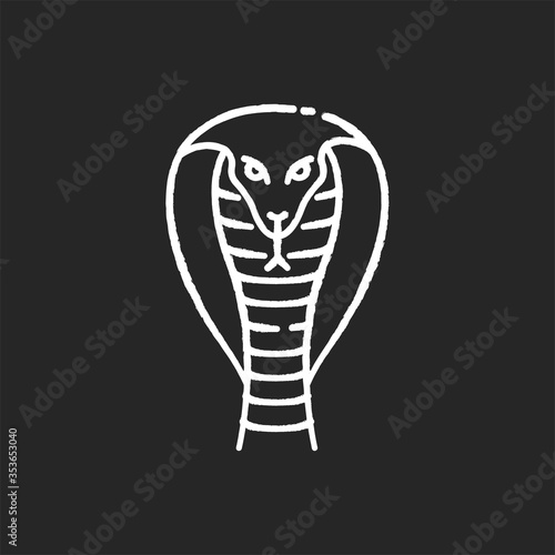 King cobra chalk white icon on black background. Hamadryad. Venomous snake with hood. Dangerous reptile. Endemic species of India. Aggressive animal. Asian wildlife. Isolated vector chalkboard