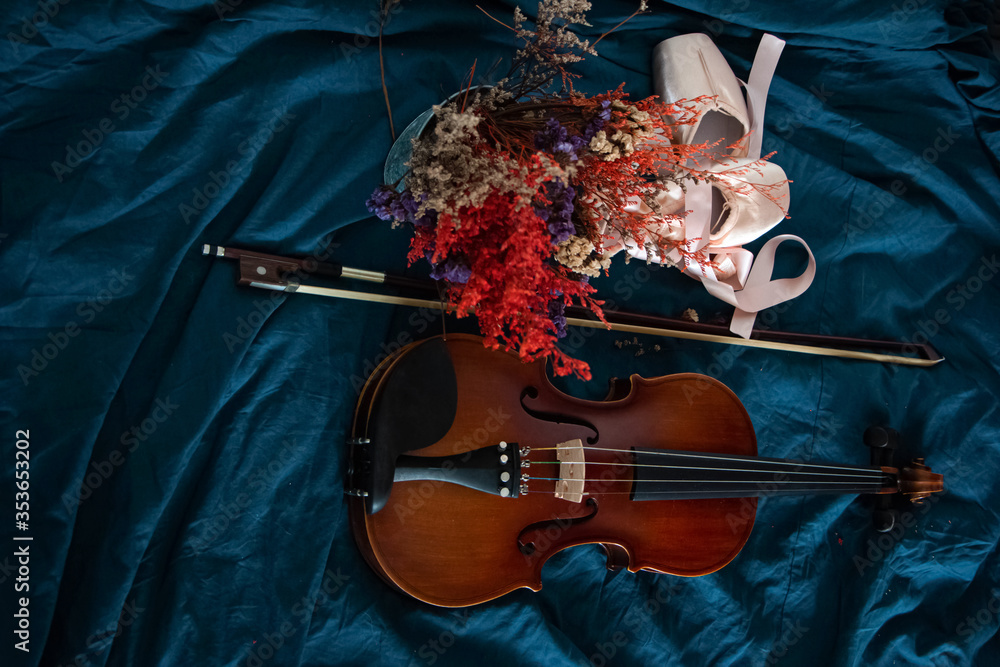 Violin and bow put beside dried flower pot and ballet shoes,on background Violin and bow put beside dried flower pot and ballet shoes,on background