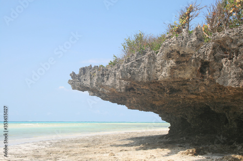 Zanzibar Beauty