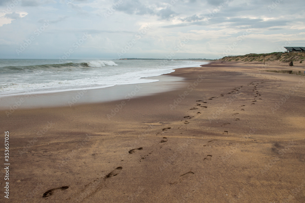 Footprints on the beach in Yala National Park in Sri Lanka.