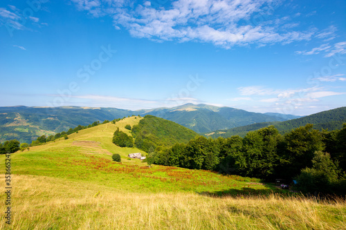 mountain landscape with green meadow on the hill. fluffy clouds on the blue sky above the distant ridge. wonderful summer weather. great views of carpathian countryside