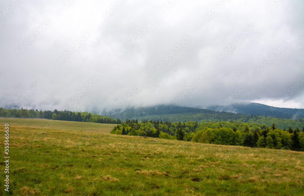 fog over the forest in a mountainous area fog over the forest in a mountainous area