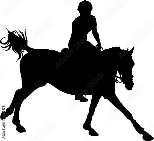 equestrian competitions, show jumping, women riders on horses, vector isolated images on a white background