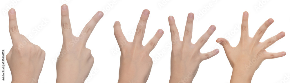 Fingers count isolated Fingers count isolated