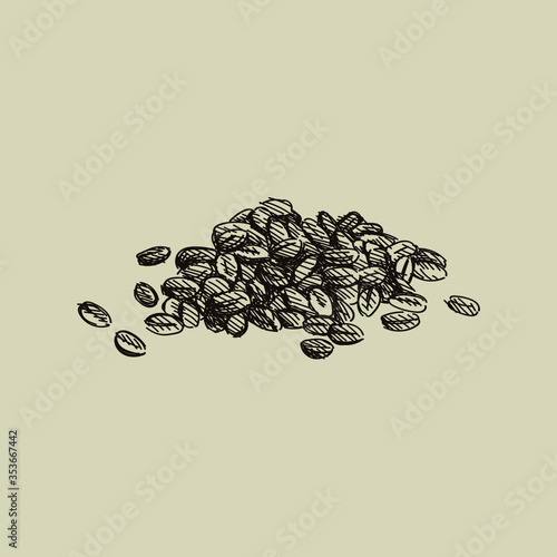 Hand-drawn sketch of wheat grains on a white background. Wheat and Flour ingredient. Wheat and Flour production and making.	
