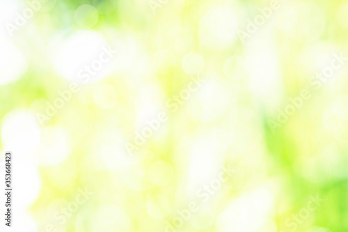 Sunny defocused color nature background, abstract bokeh effect es element for your design.