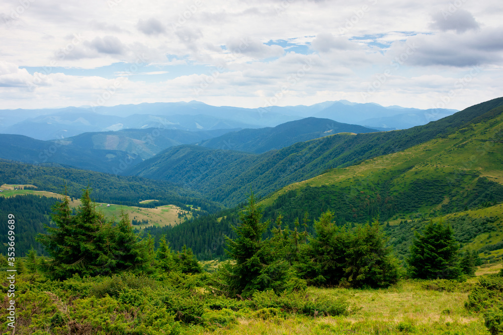 summer landscape of valley in mountains. trees and green meadows on rolling hills. black ridge in the distance. beautiful nature of carpathians. cloudy sky
