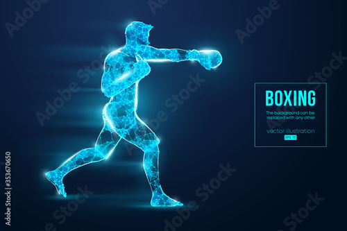 Abstract silhouette of a wireframe boxer fighter with boxing gloves on the blue background. Boxer is winner. Convenient organization of eps file. Vector illustration. Thanks for watching