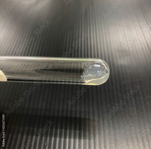 the positive of coagulase test (S.aureus)