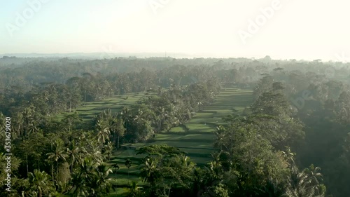 Rice Field Bali Indonesia Rice Terrace 